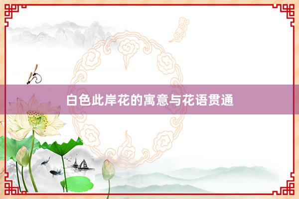 白色此岸花的寓意与花语贯通